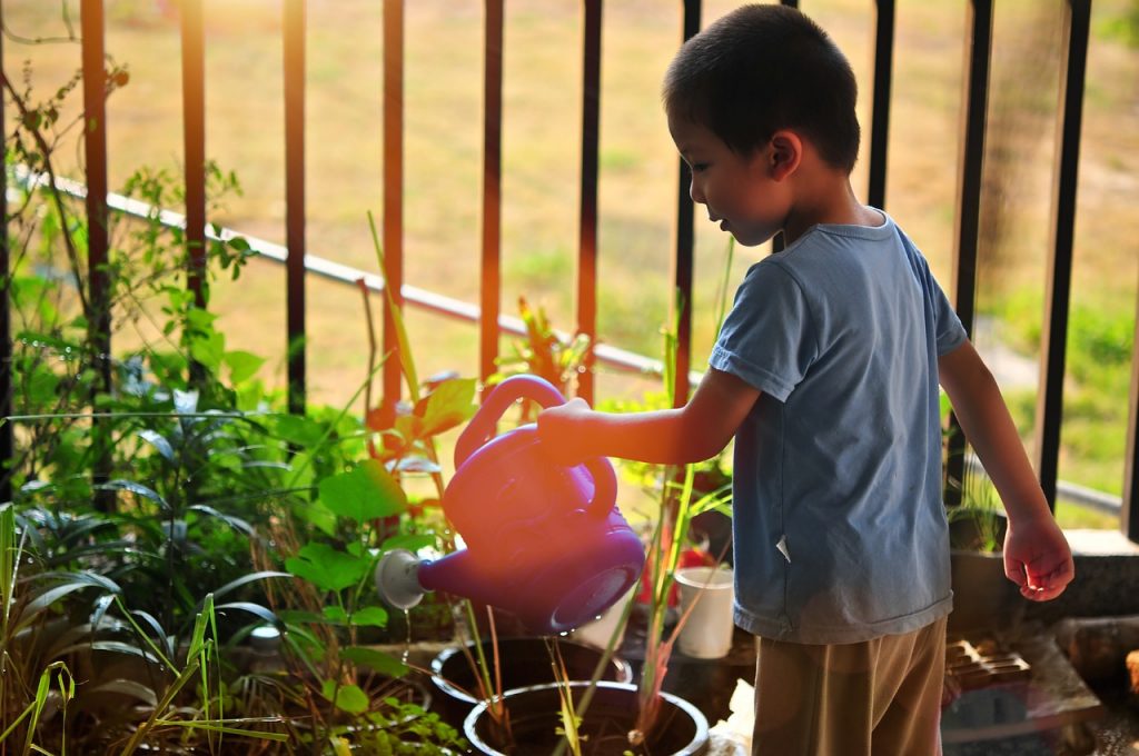 childrens sensory garden