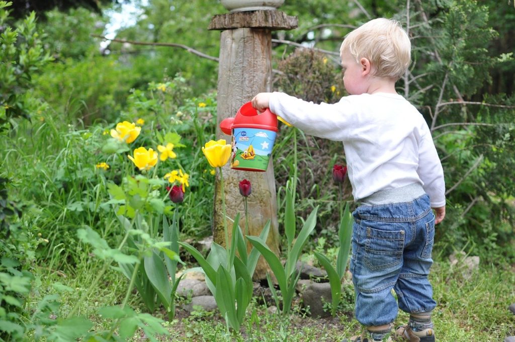 planting activities for toddlers