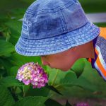 what plants are good for a sensory garden