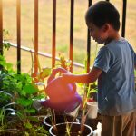 childrens sensory garden