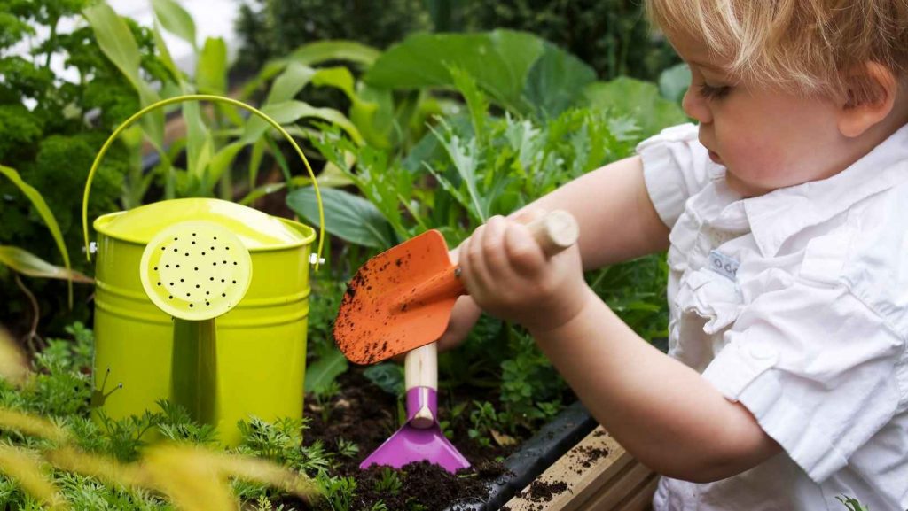 easy plants for toddlers to grow