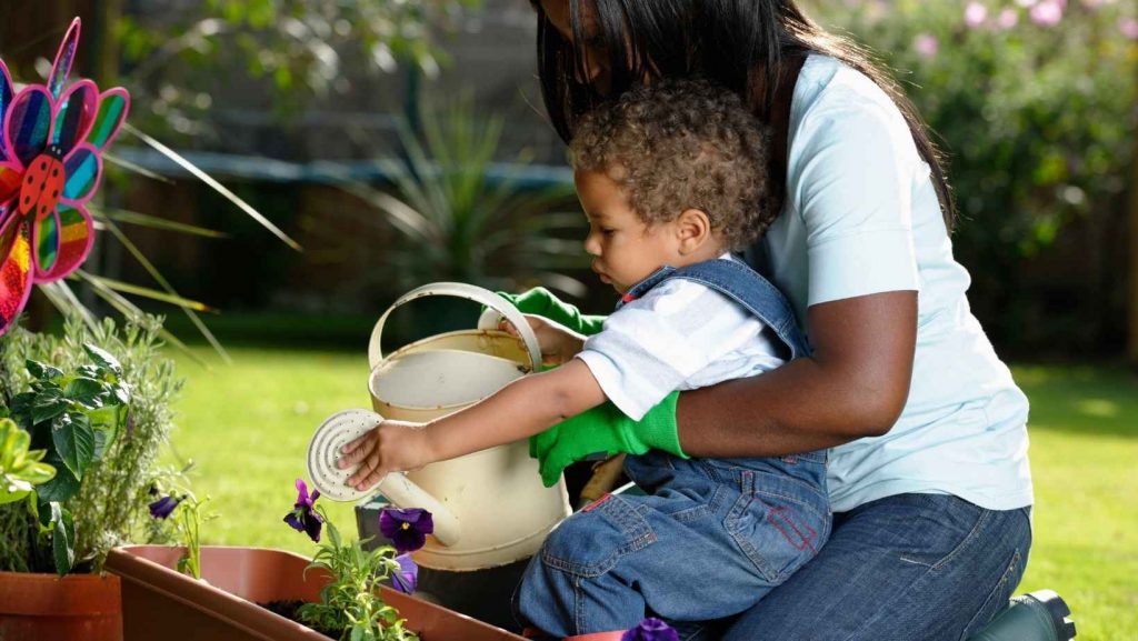 easy plants to grow with toddlers