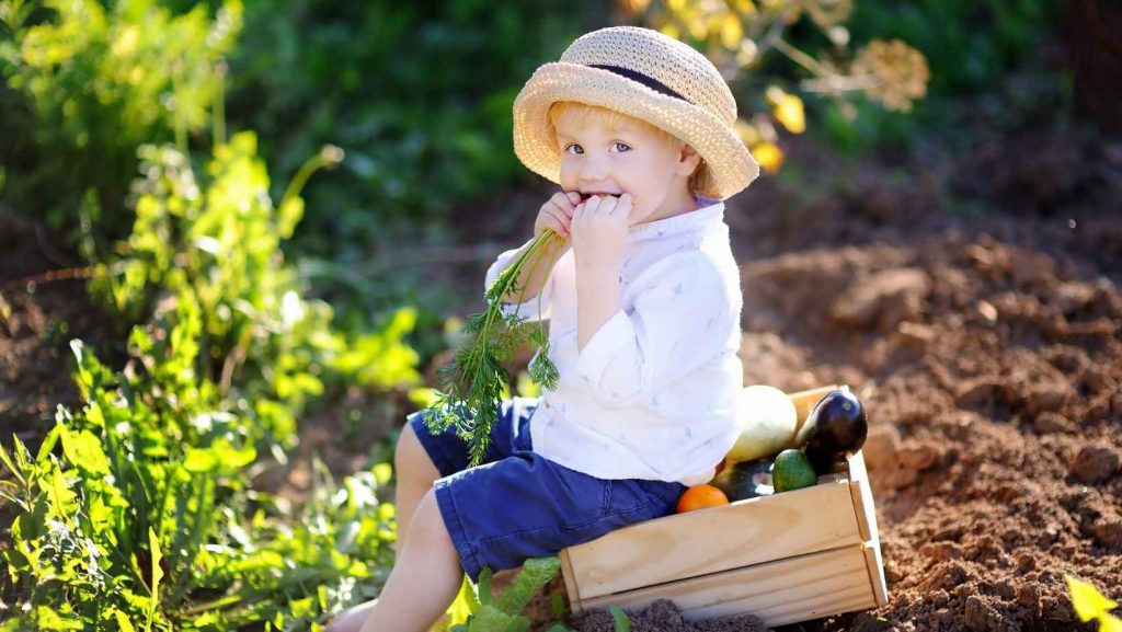fast growing plants for kids