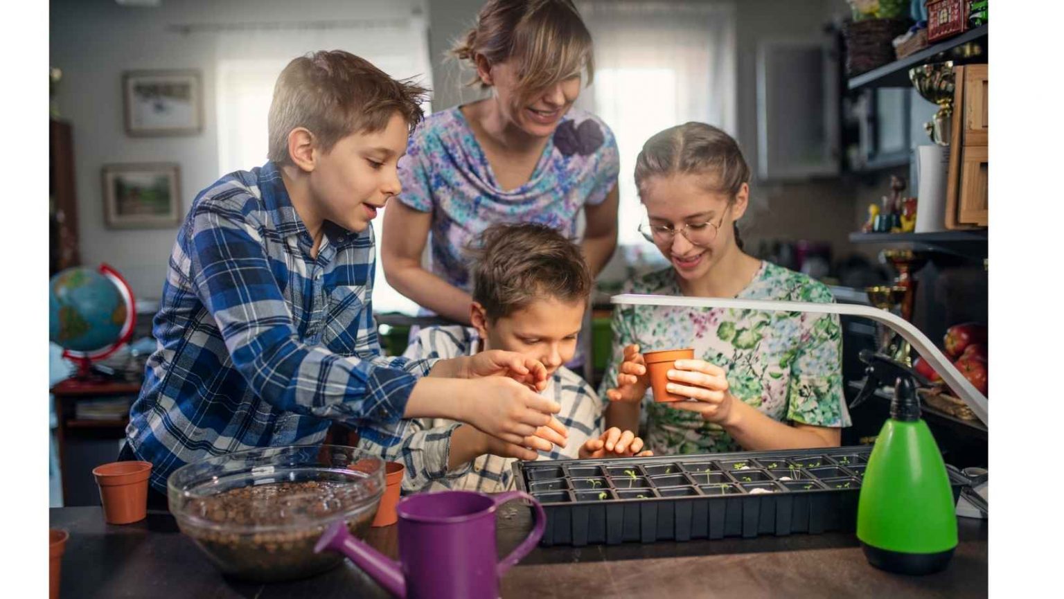 Hydroponics for Kids – The Ultimate Parent Guide | Fun Gardening for Kids