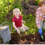how to grow potatoes for kids