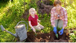 how to grow potatoes for kids