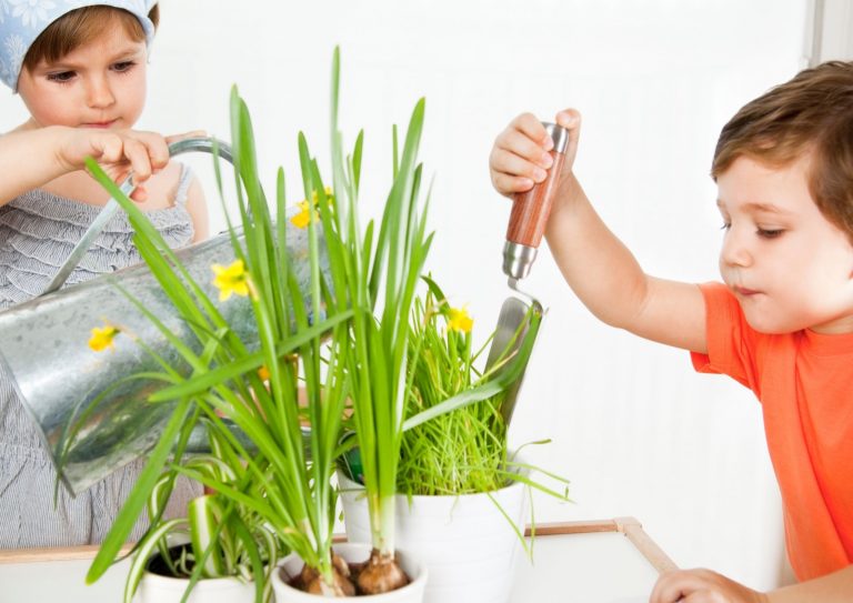 The Importance of importance of gardening in early childhood