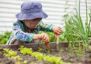 children's vegetable garden