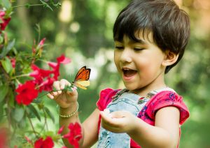 sensory butterfly garden for kids