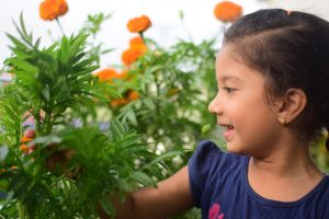 butterfly gardening for kids