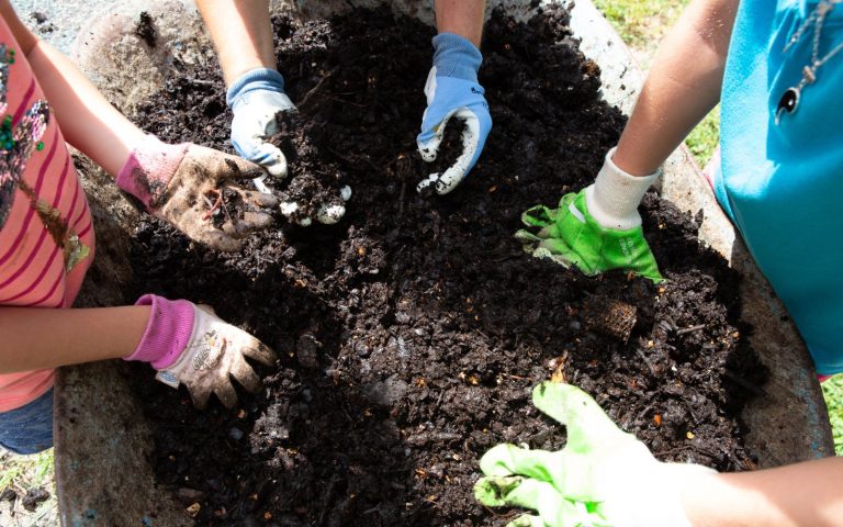 exploring well composted soil