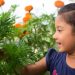 butterfly gardening for kids